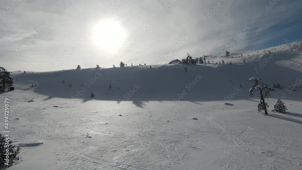 Tall snowy trees, bushes and sunrise. Snows in the forest and beautiful winter landscapes. Nature landscape and vacation concept. Tall snowy trees, bushes and sunrise. Snows in the forest and beautiful winter landscapes. Nature landscape and vacation concept.