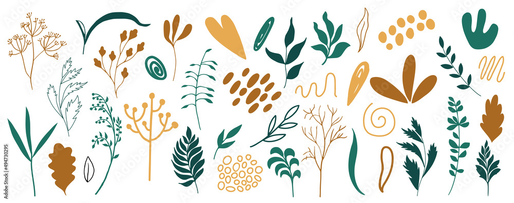 Fototapeta premium Organic shapes, plants, spots, lines, dots. Vector set of minimal trendy abstract hand drawn isolated elements for graphic design 