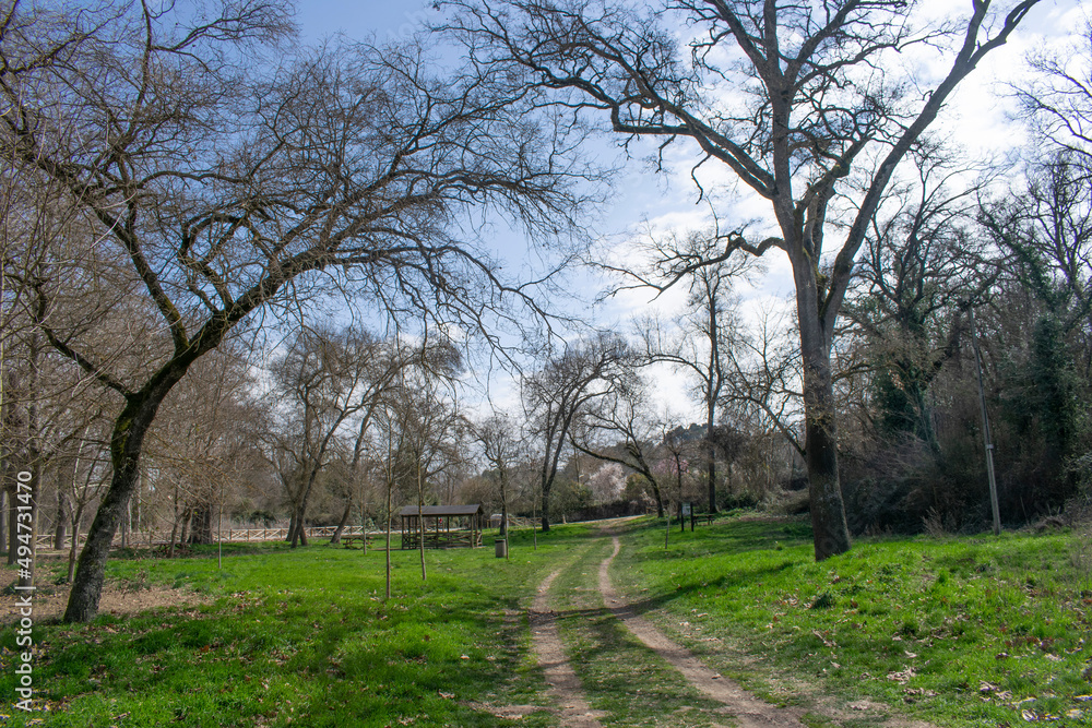 Camino atravesando bosques y campo. Camino atravesando bosques y campo.