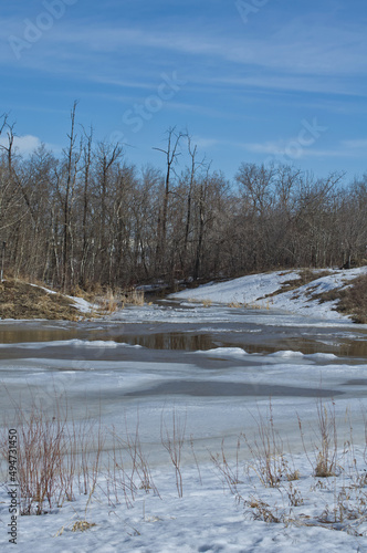 Pylypow Wetlands on the Last Day of Winter