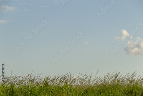 Photos Grama e céu azul com algumas nuvens. Uma paisagem minimalista.