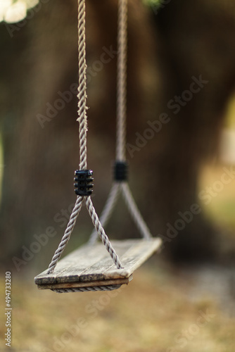 Swing in park