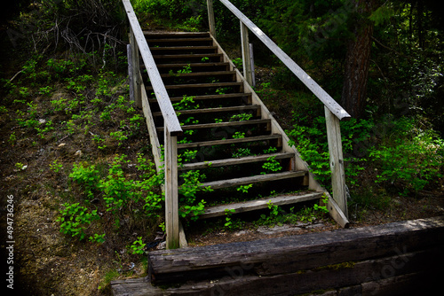 Forest Stairs
