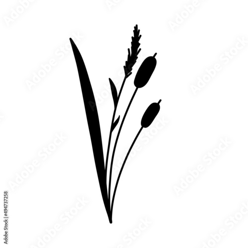 Reed Grass Silhouette. Black hand drawn Reeds Sketch. Vector isolated element.