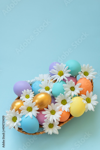 Colorful Easter eggs decorated with white daisy  chrysanthemum  flowers on blue background. Greeting card for spring holiday with a copy space for your text. Vertical orientation.