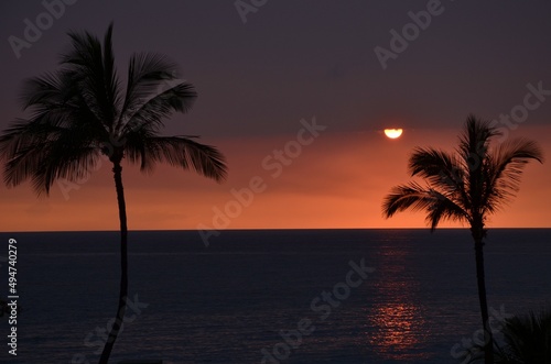Fototapeta Naklejka Na Ścianę i Meble -  Sonnenuntergang am Meer mit Palmen