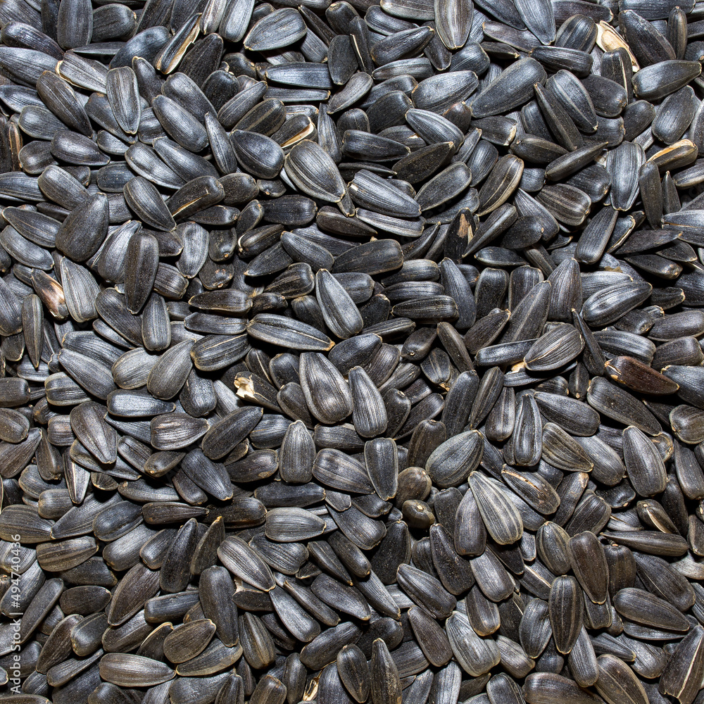 Photo of closeup texture of black sunflower seeds, background Photo of closeup texture of black sunflower seeds, background