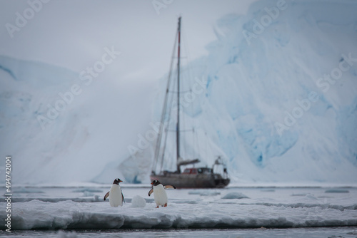 Mit den Pinguinen auf einer Eisscholle in der Antarktis, Abenteuerreise mit dem Segelschiff im ewigen Eis photo