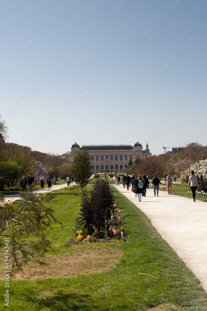 Jardin muséum d'histoire naturelle à paris