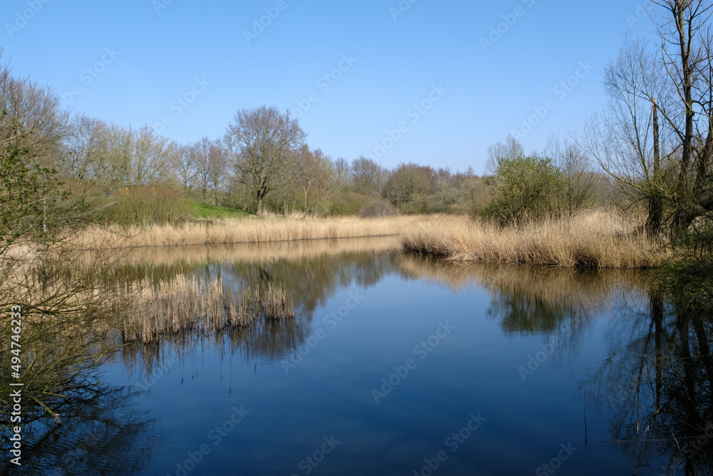 Small lake in Lelystad Nature Park Small lake in Lelystad Nature Park