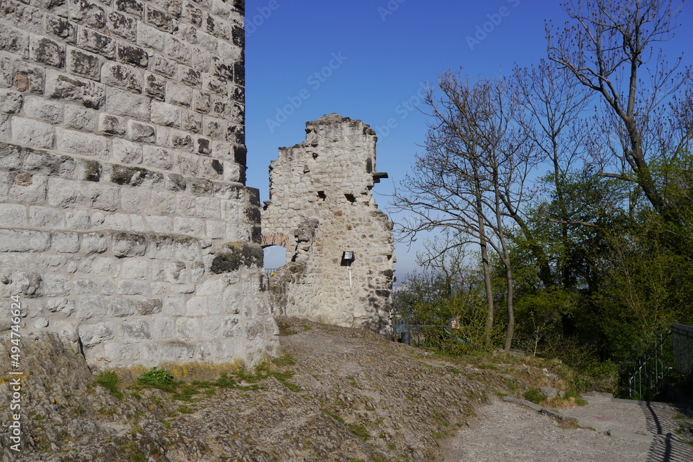 Burg Drachenfels bei Königswinter am Rhein im Siebengebirge