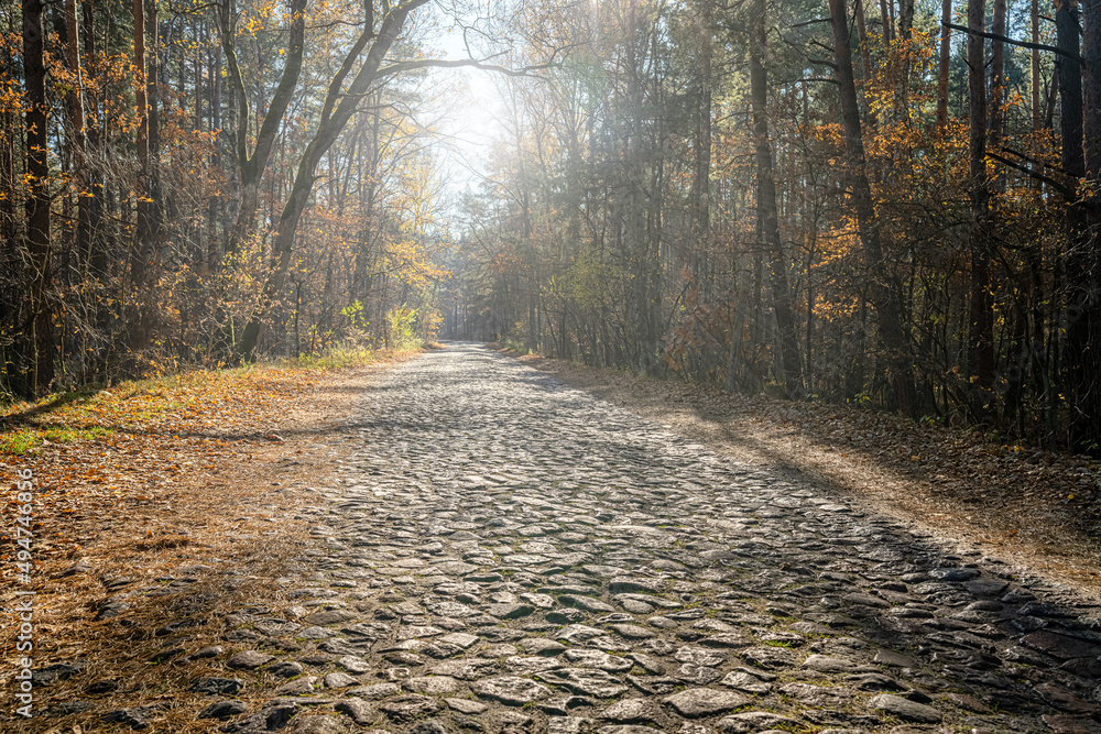 Road of granite cubes in the park in autumn. The road is covered with leaves on a sunny day. Road of granite cubes in the park in autumn. The road is covered with leaves on a sunny day.