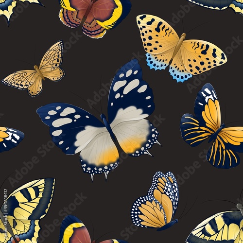 seamless pattern of blue, gray, orange, brown butterflies set isolated on white background