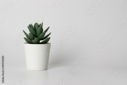 Fake succulent plant in a pot isolated on a white background with copy space for interior decoration 