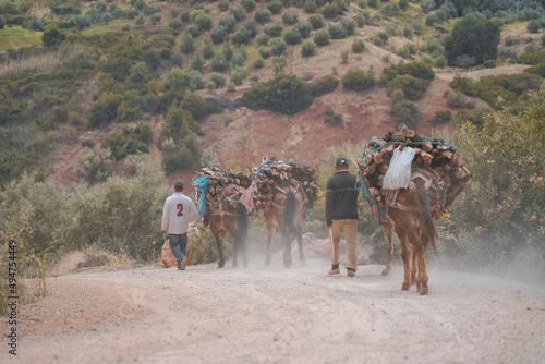 ride in the desert , High atlas Morocco 