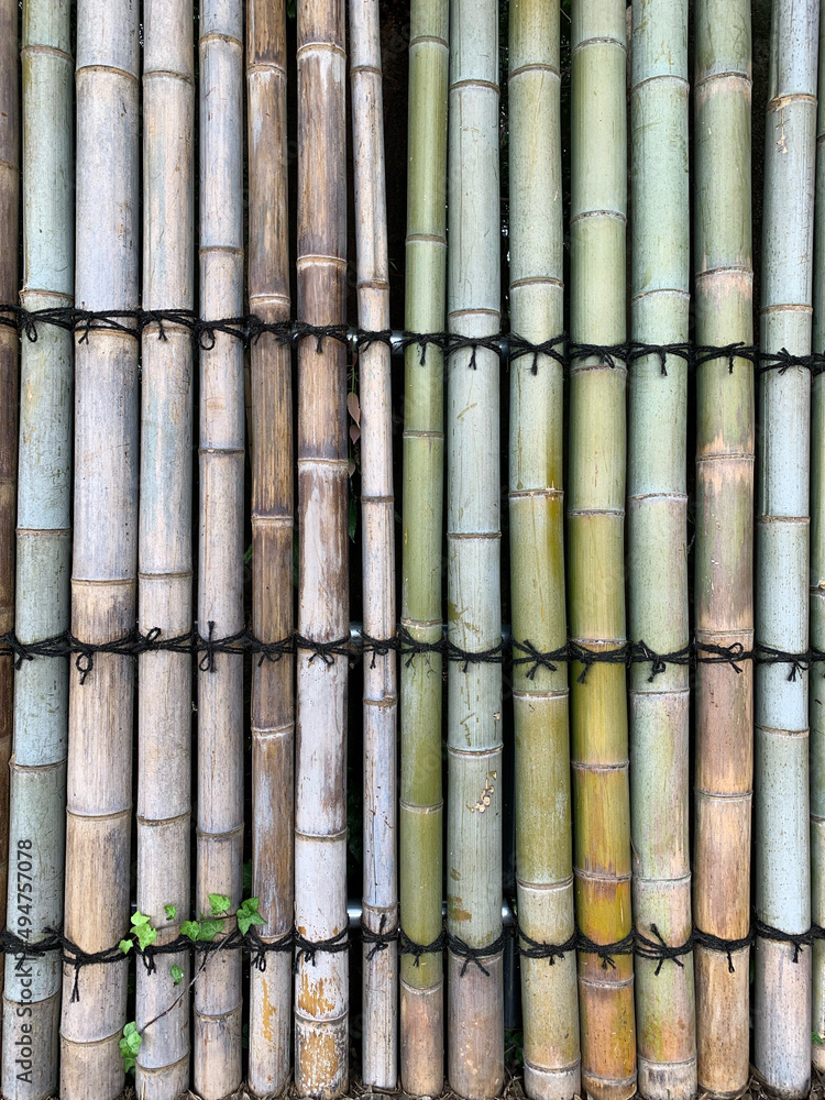 日本庭園 竹の壁 web素材 テクスチャJapanese garden bamboo wall web material texture 日本庭園 竹の壁 web素材 テクスチャJapanese garden bamboo wall web material texture