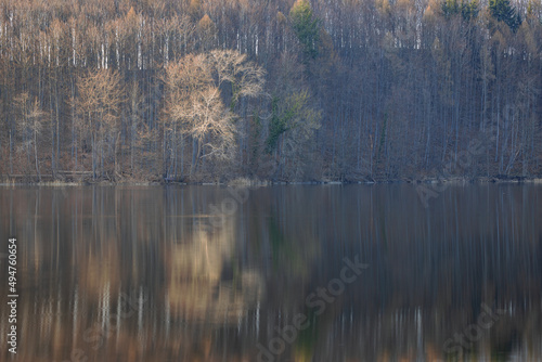 Bald trees at lake Ukleisee in spring in beautiful evening light with reflections in water, Schleswig-Holstein, Germany