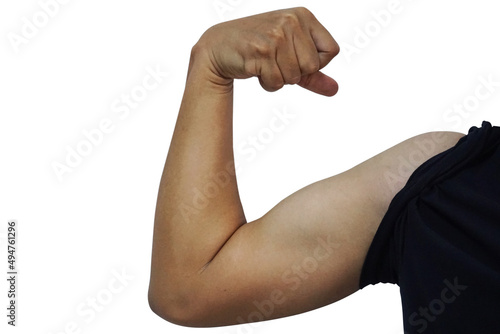 Muscle isolated on white background with clipping path.
