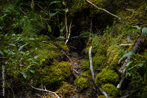 Closeup of mossy rocks and small mountain stream