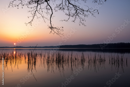 Colorful sunset in spring at Lake Kellersee with reed in foreground, Malente, Eutin, Schleswig-Holstein, Northern Germany photo