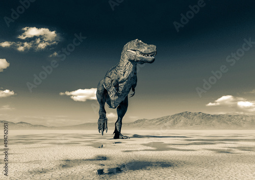 tyrannosaurus rex is coming on desert © DM7