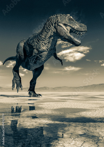 tyrannosaurus rex is looking for food on desert © DM7