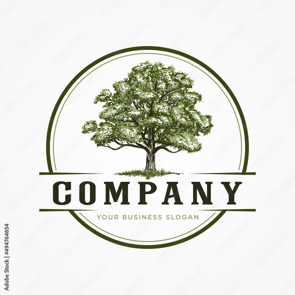 Fototapeta premium OAK TREE GREEN COLOR VINTAGE LOGO