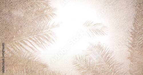 Coconut Palm Trees Summer Background.White beige wall background texture.Tropical exotic leaves shadows frame.Card design.Wallpaper.Banner.Photo Overlays.Paper structure.Business concept.Landing page