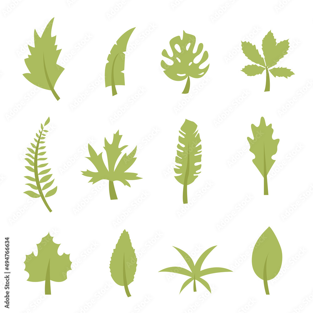 Set of leaves icons. Leaves icons isolated on white background. Various shapes of leaves. Set of leaves icons. Leaves icons isolated on white background. Various shapes of leaves.