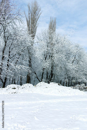 Winter view of South Park in city of Sofia, Bulgaria © Stoyan Haytov