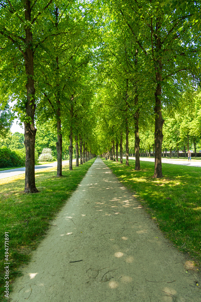 Summer green baumallee promenade passage at famous Georgengarten recreational park, Hannover Germany, in summer.