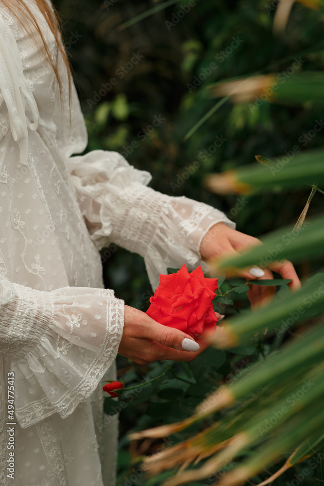 White Lace Sleeves 