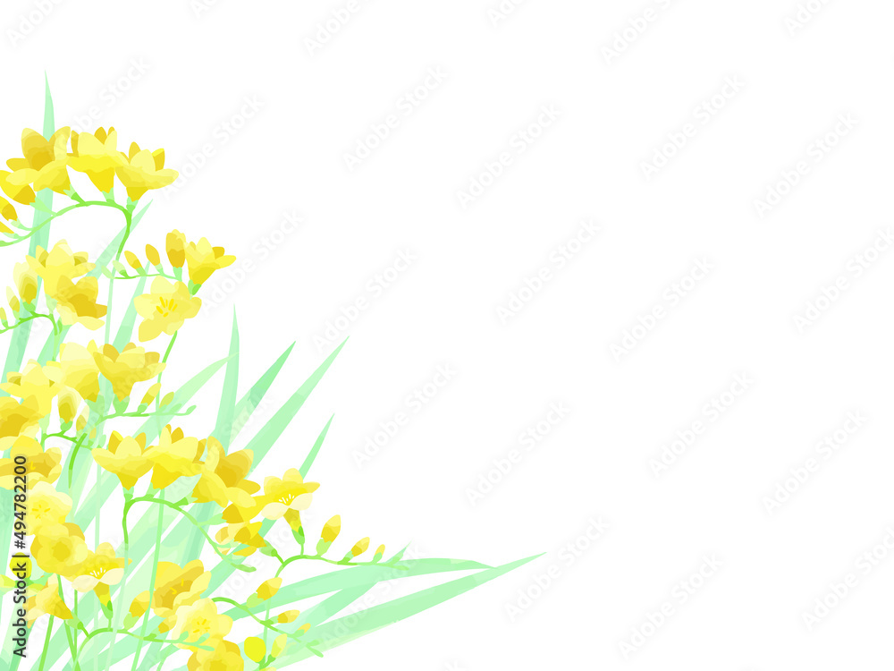 黄色いフリージアのイラストフレーム Stock Vector Adobe Stock