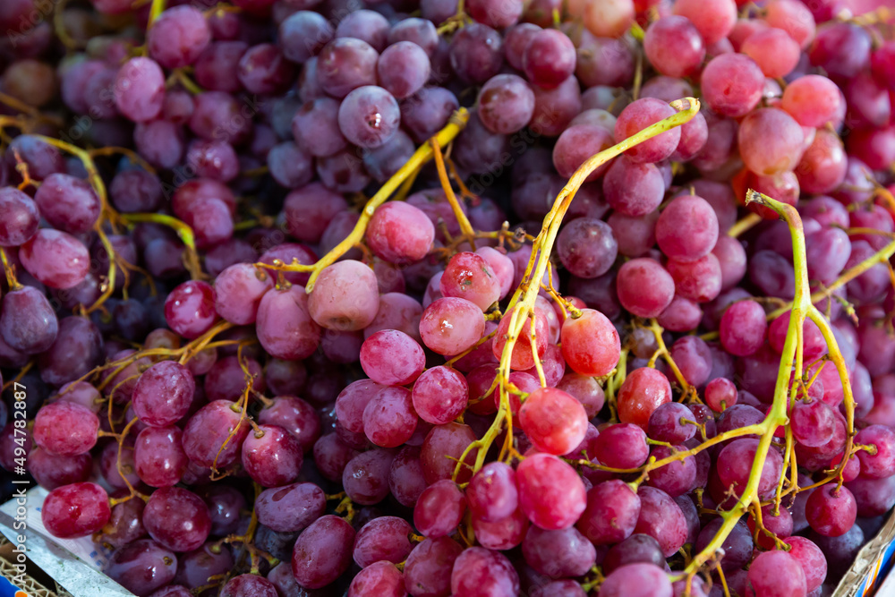 Bunches of ripe organic red grape for sale in the product store