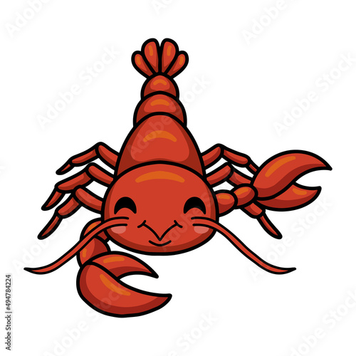 Cute little lobster cartoon character