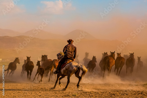 unclaimed horses are running freely around in the dust smoke