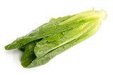 Fresh Organic Green Cos Lettuce isolated on white background. Fresh Green Cos Lettuce has high fiber and vitamin, sweet taste and good for salad