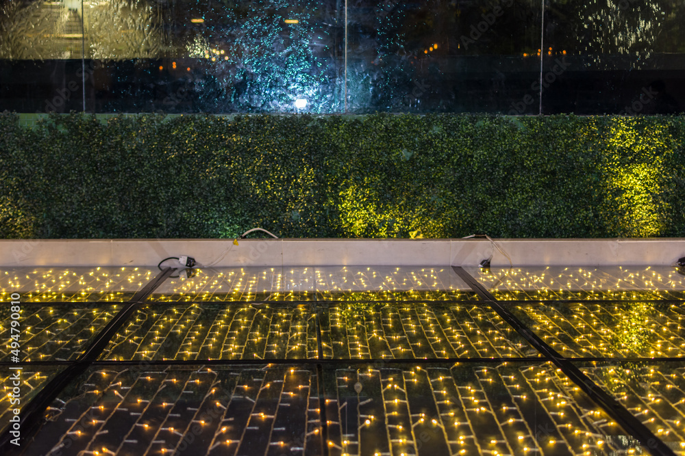 Obraz premium light fairy wire