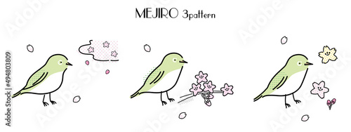 メジロと桜イラスト