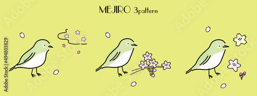 メジロと桜イラスト