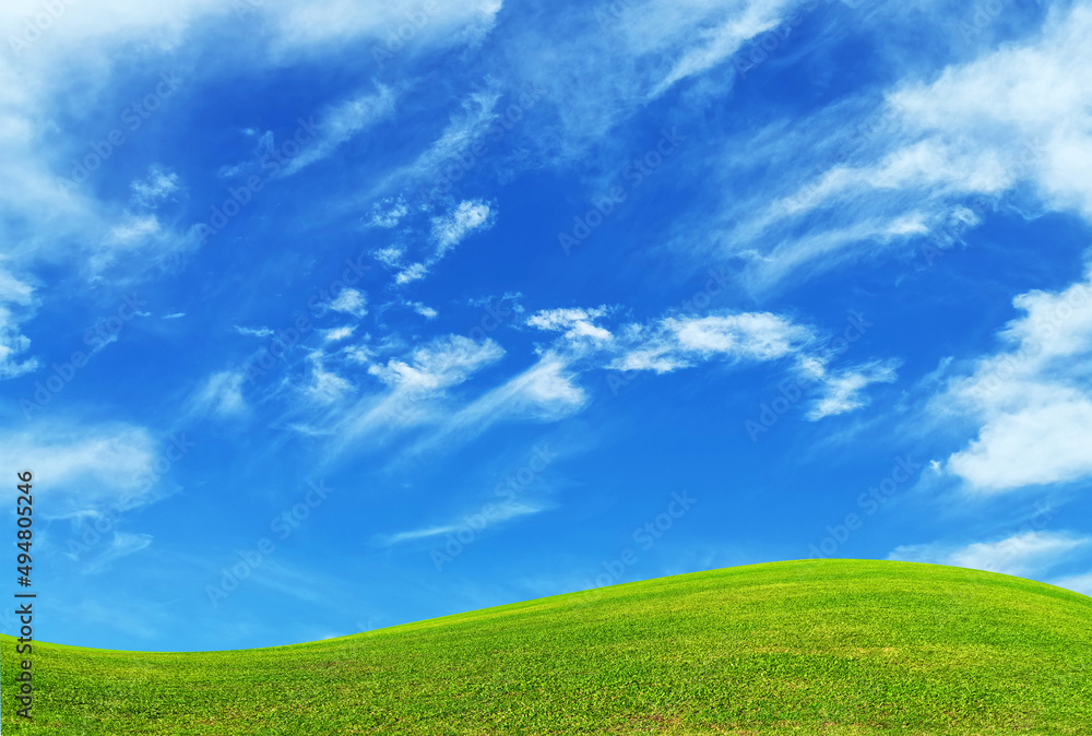 Obraz premium green field and blue sky