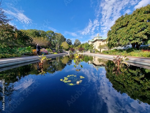 Pond reflecting