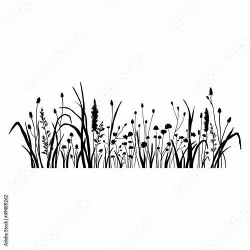 Silhouette wildflowers grass. Vector black hand drawn illustration with summer flowers. Shadow of herb and plant. Nature field isolated on white background