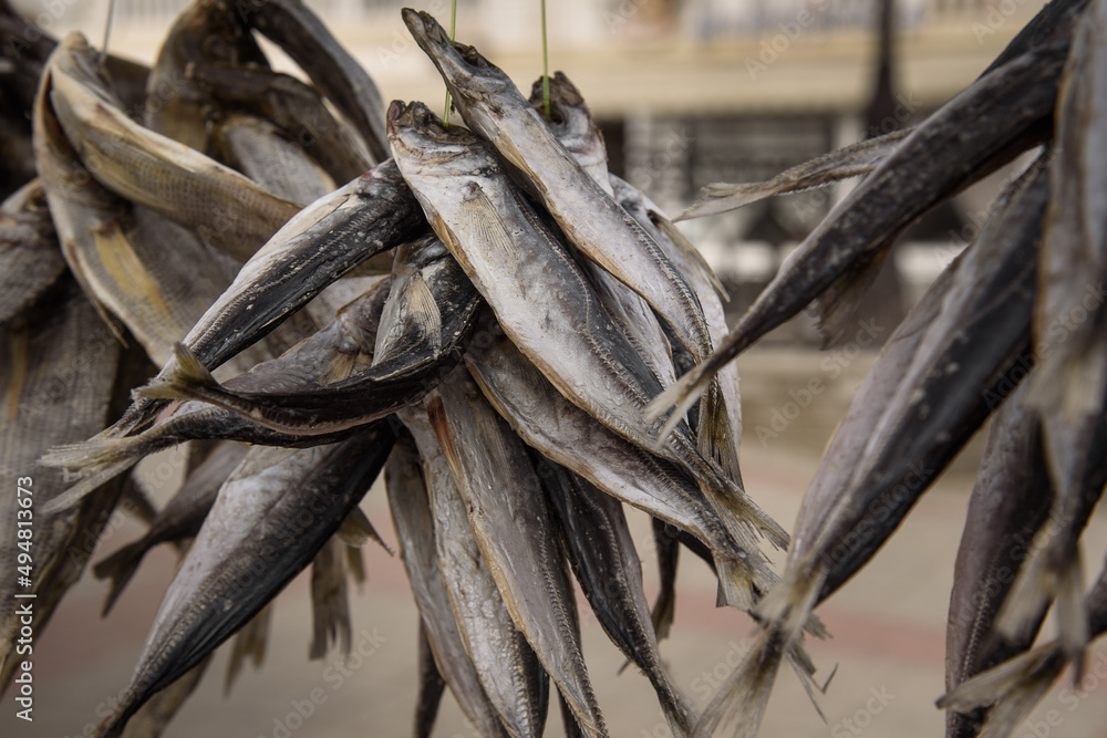 Naklejka premium Bunch of dried fish on embankment of city Balaklava, Crimea