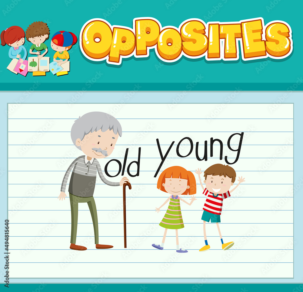 Education word card of English opposites word Education word card of English opposites word