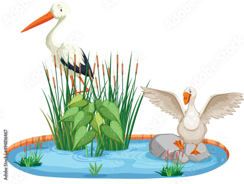 Two birds by the pond