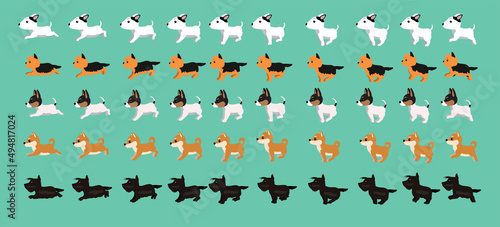 Dog Scottish Terrier Shiba Inu Toy Terrier Yorkshire Bull Walking Running Cartoon Vector Set