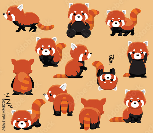 Various Red Panda Cute Characters Twelve Poses Cartoon Vector