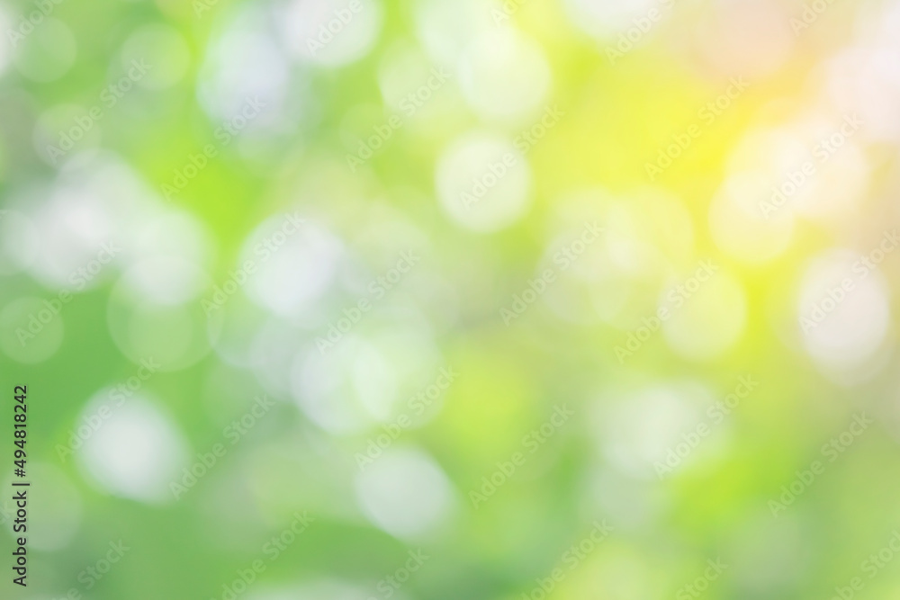 Nature blur green leaf and light abstract background. Sunlight bokeh on soft green leaf tree foliage in a park, blurred leaves forest sunny day in spring or summer, blurred nature pastel background
