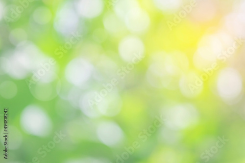 Nature blur green leaf and light abstract background. Sunlight bokeh on soft green leaf tree foliage in a park, blurred leaves forest sunny day in spring or summer, blurred nature pastel background